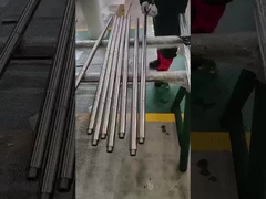 चूसने की छड़ी पंप प्लंगर