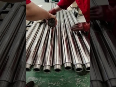 8620 सामग्री मोनेल पिन के साथ डाउनहोल पंप सहायक उपकरण प्लंगर