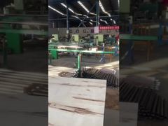 निकेल कार्बाइड ईंधन पंप प्लंगर और बैरल एपीआई 11 बी मानक