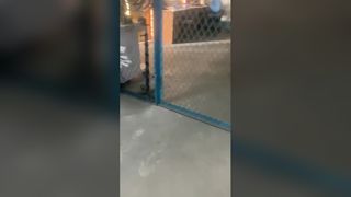 सकर रॉड पंप का स्पेयर पार्ट प्लंजर