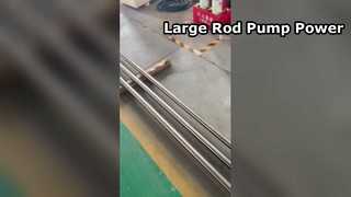 लंबा सवार