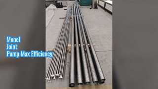 एपीआई 11AX सकर रॉड पंप मोनेल जॉइंट प्लंजर